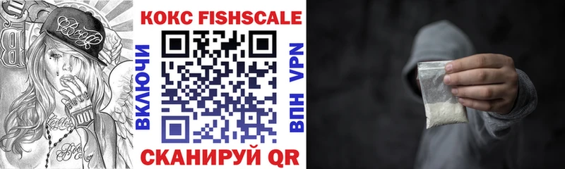 Cocaine FishScale  ссылка на мегу   Алексин 