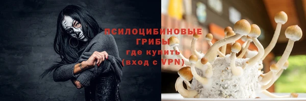 а пвп мука Алзамай