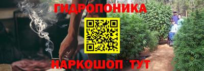 ГАЛЛЮЦИНОГЕННЫЕ ГРИБЫ Чапаевск