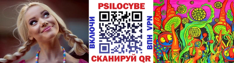 купить   Алексин  Галлюциногенные грибы MAGIC MUSHROOMS 