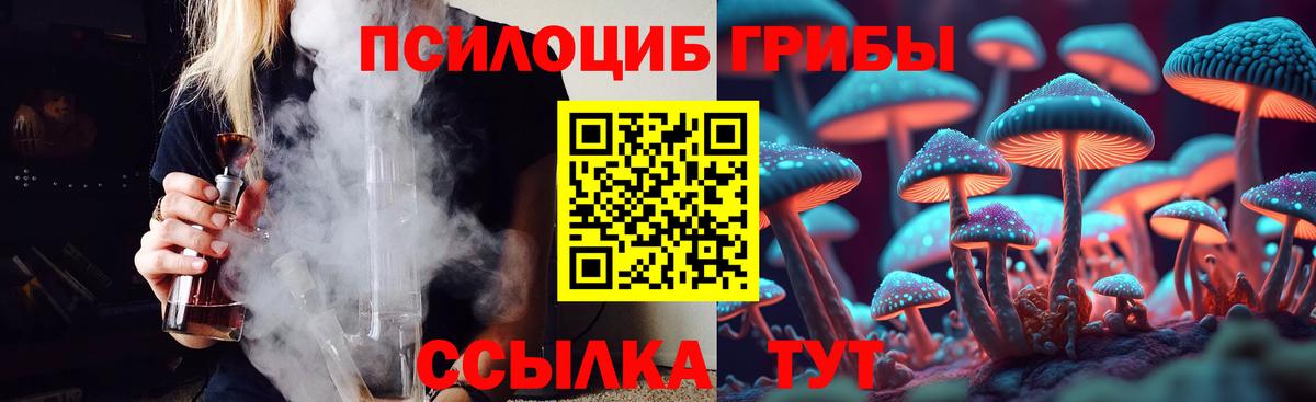 Галлюциногенные грибы Psilocybine cubensis  Вход с VPN  купить наркотик  Алексин  Галлюциногенные грибы Magic Shrooms 